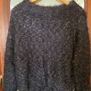 Cozy Dark Navy Express Sweater